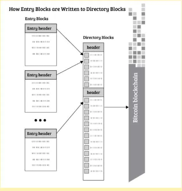 Blockchain-Bitcoins-Directory-Blocks