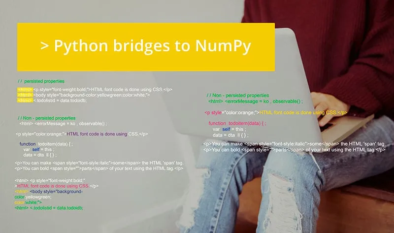 Python-Bridge-to-Numpy